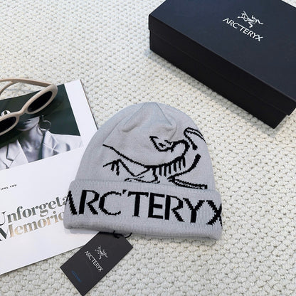 ARC Beanie